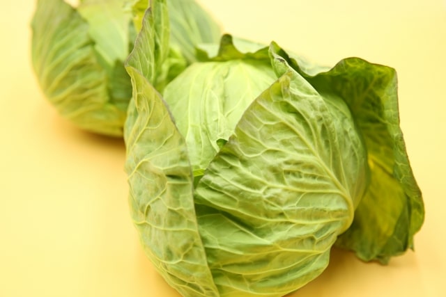 相葉マナブ 旬の産地ごはん 春キャベツ