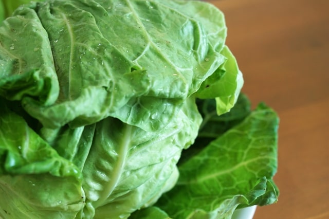 相葉マナブ 旬の産地ごはん 春キャベツ