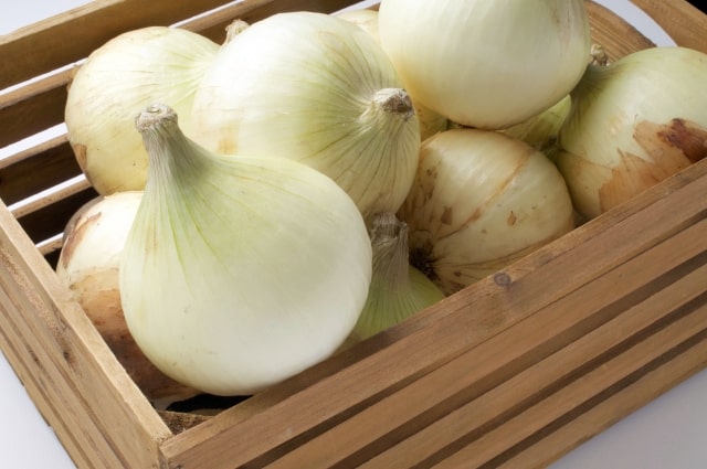 青空レストラン 愛知県 新玉ねぎ 旬玉