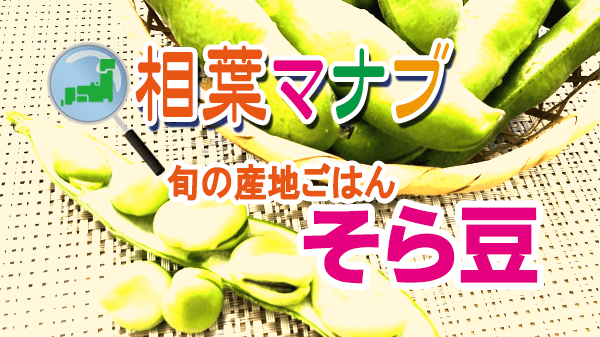 相葉マナブ 旬の産地ごはん そら豆