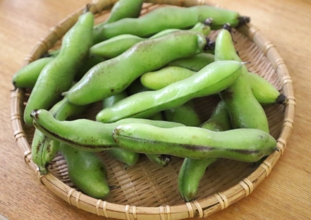 相葉マナブ 旬の産地ごはん そら豆