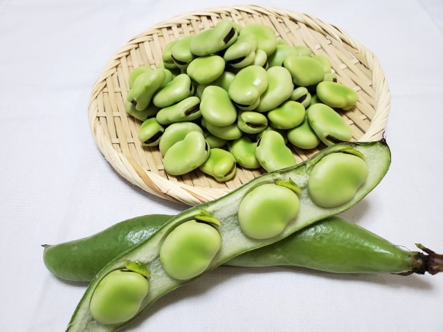 相葉マナブ 旬の産地ごはん そら豆