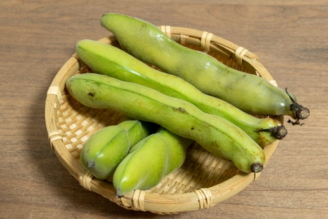 相葉マナブ 旬の産地ごはん そら豆