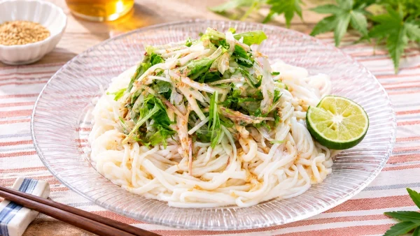 相葉マナブ「薬味たっぷり冷やしうどん」