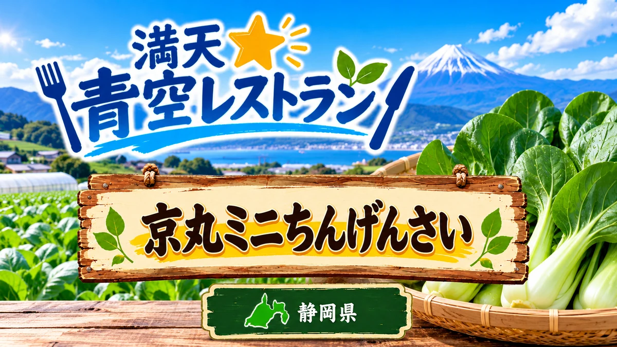 青空レストラン 京丸ミニ ちんげんさい 静岡県 浜松市