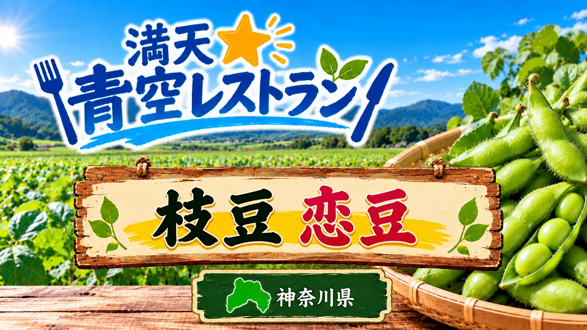 青空レストラン 枝豆 恋豆 神奈川 横浜